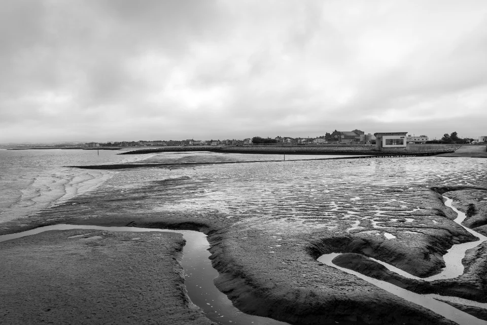 Le bassin à marée basse