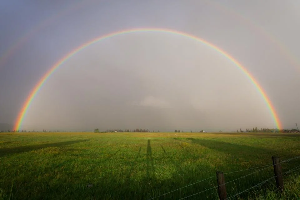 Paddock fence under a rainbow